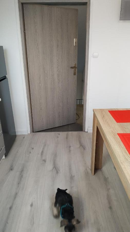 Apartament Witkacego Zielony 스와프스크 외부 사진